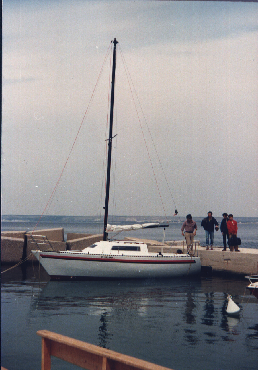 Pellicano 77.jpg