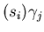 $(s_{i})\gamma_{j}$