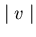 $\mid v \mid $