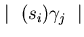 $\mid~(s_{i})\gamma_{j}~\mid$