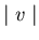 $\mid v \mid $