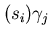 $(s_{i}) \gamma_{j}$
