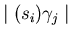 $\mid (s_{i}) \gamma_{j} \mid$
