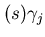 $(s)\gamma_{j}$