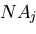 $NA_{j}$