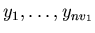 $y_{1}, \ldots ,y_{nv_{1}}$