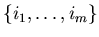 $\{i_{1} ,\ldots ,i_{m} \}$